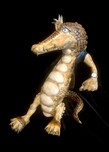 Paul B Lotz Paul B Lotz Crocodile Rock (SN)